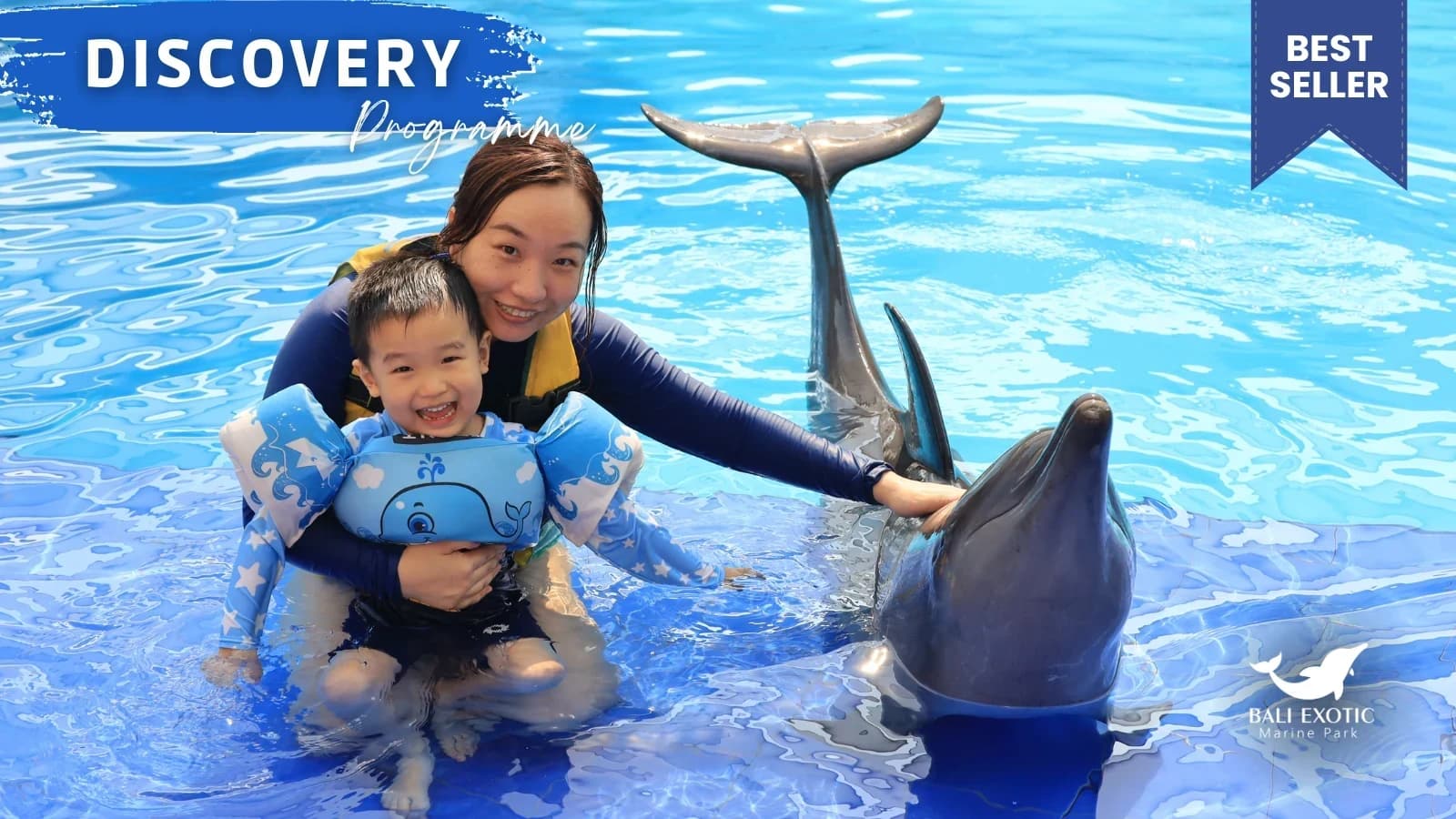 Bali Dolphin Experience