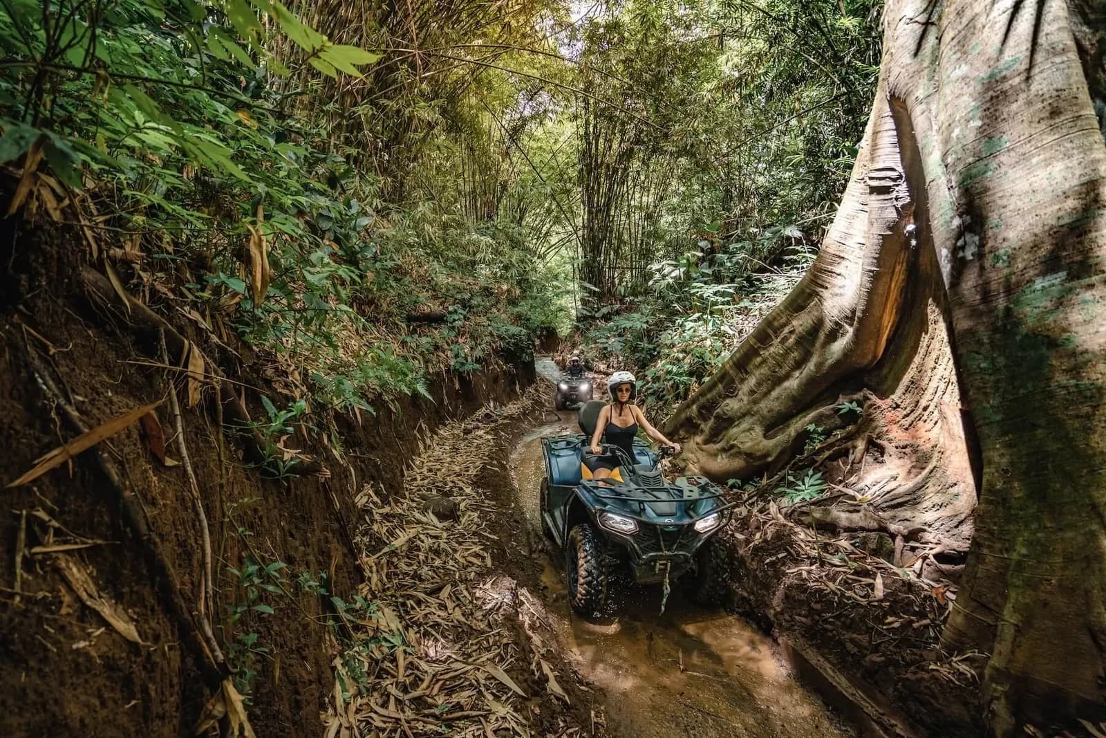 Alasan Adventure