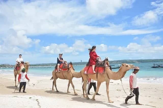 Bali Camel Adventure