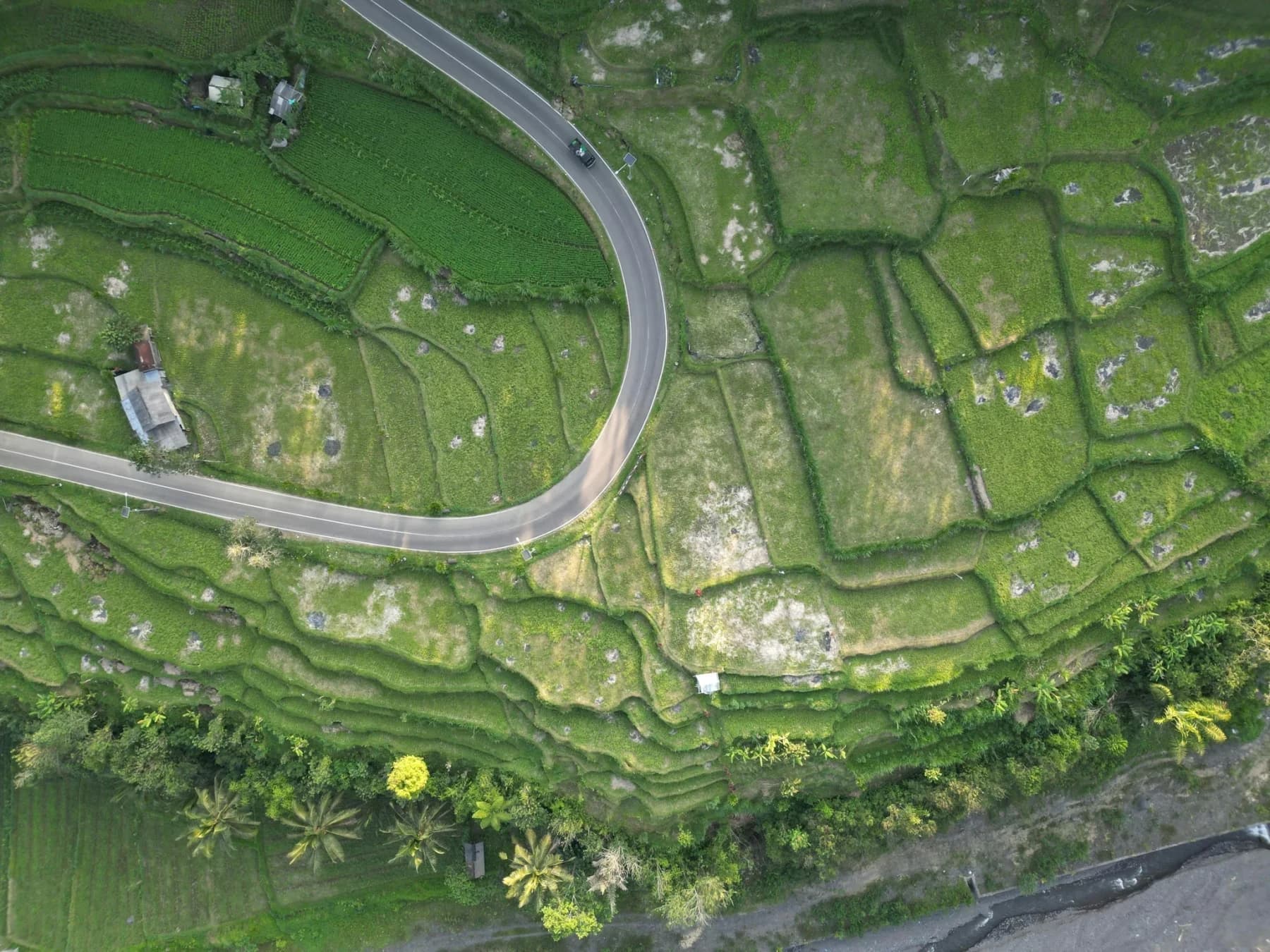 Custom Tour - Full day