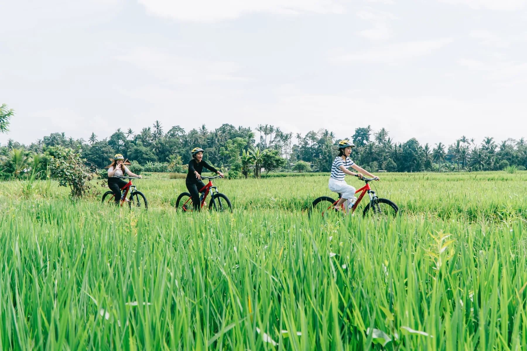 Ubud Countryside Cycling by Sobek