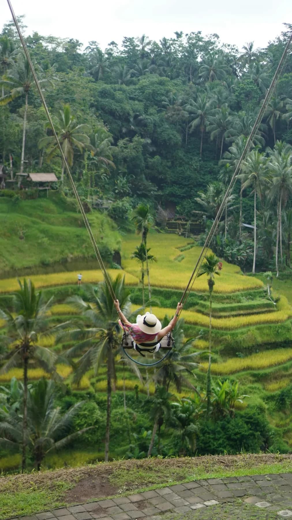 Ubud Highlights Private Day Tour - Ubud highlights