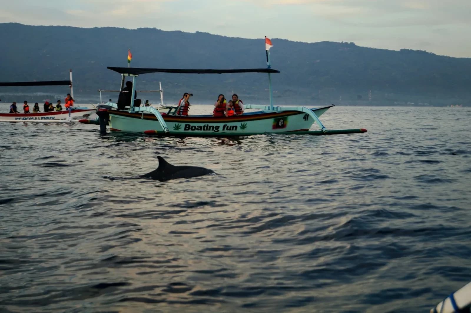 North Bali Tour - Lovina dolphin