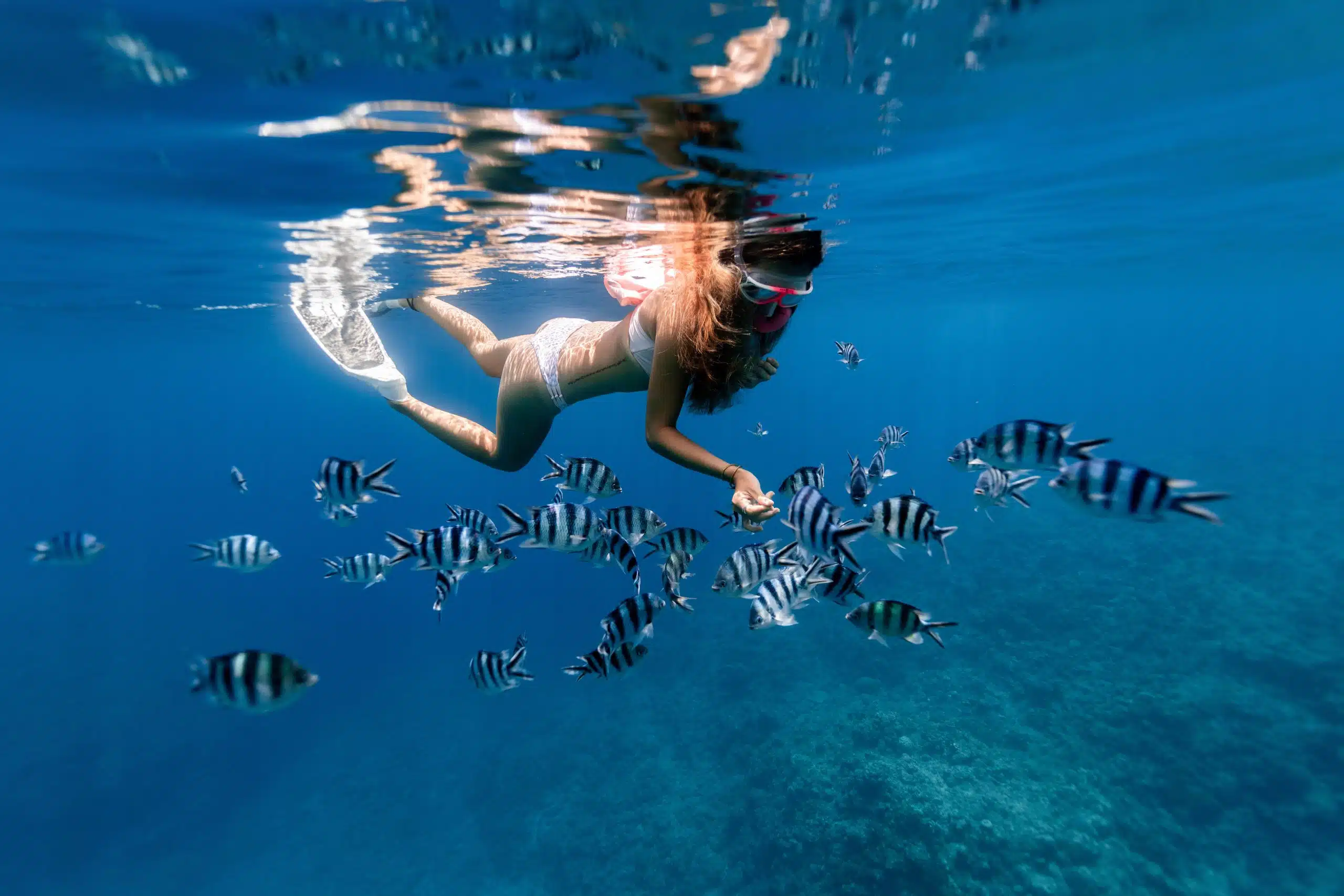 Bali travel destination background